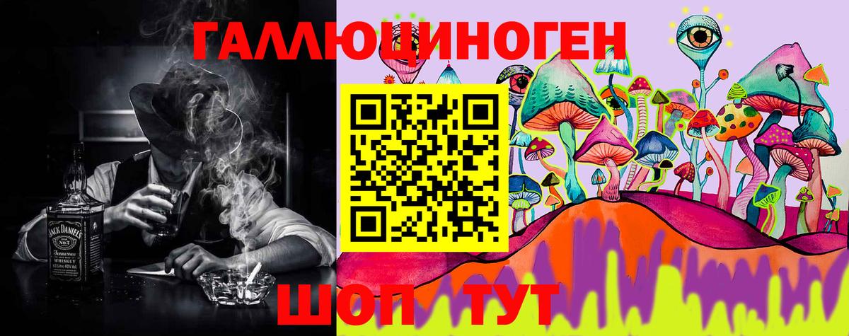 Рузаевка  Псилоцибиновые грибы Psilocybine cubensis  Вход с VPN 
